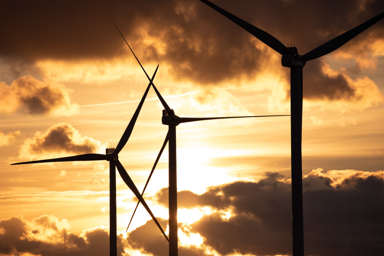 Schneewind Sven Jaax